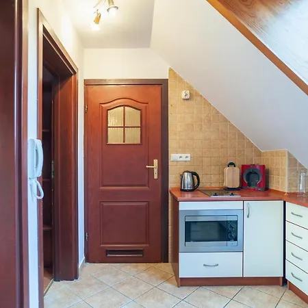 公寓 Rodzinne Apartzakop 扎科帕内