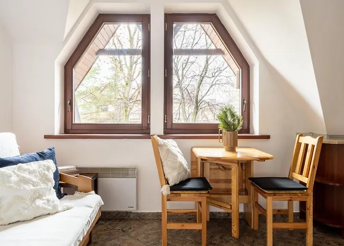 公寓 Rodzinne Apartzakop 扎科帕内