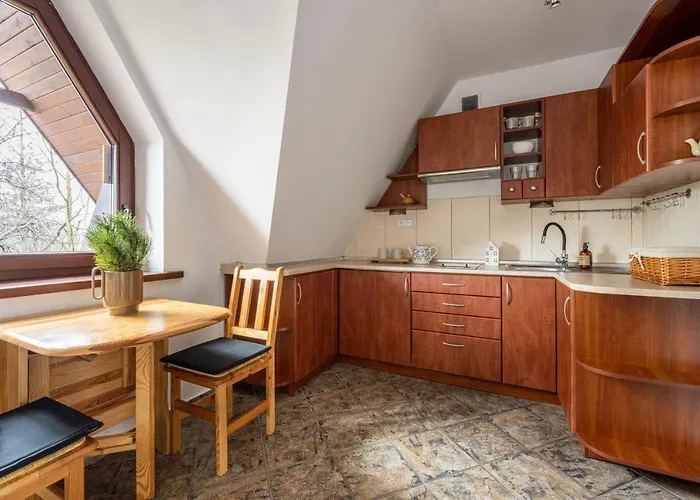 公寓 Rodzinne Apartzakop 扎科帕内