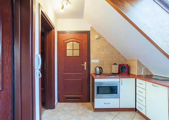 公寓 Rodzinne Apartzakop 扎科帕内