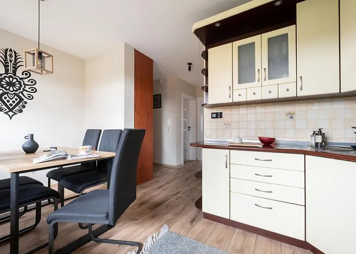 公寓 Rodzinne Apartzakop 扎科帕内