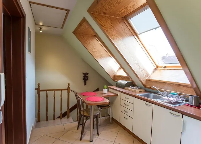 公寓 Rodzinne Apartzakop 扎科帕内