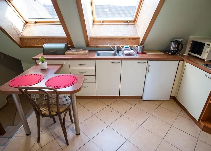 公寓 Rodzinne Apartzakop *